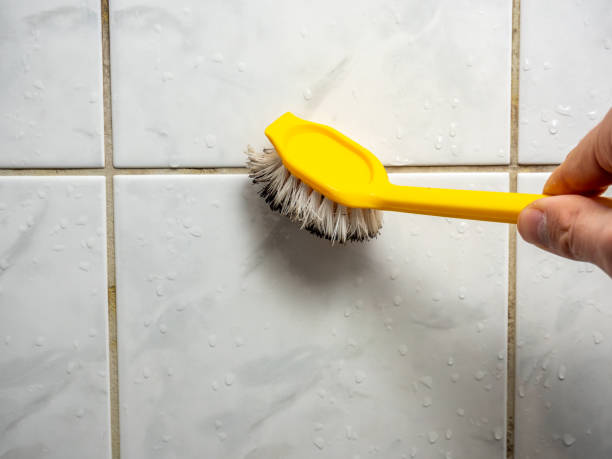 Best Emergency Mold Removal  in Many, LA