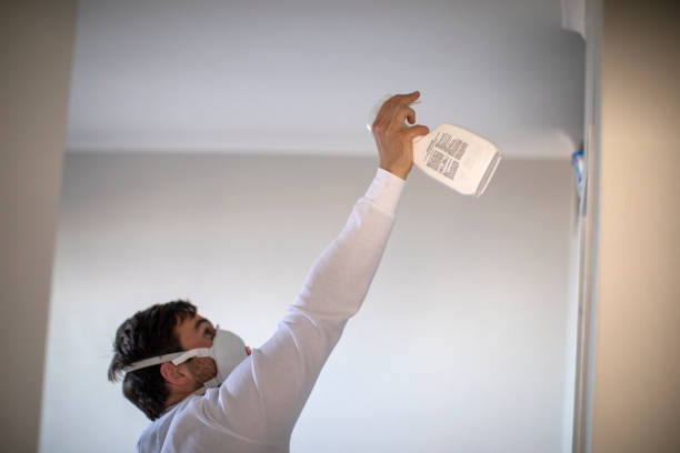 Reliable Many, LA Mold Removal Solutions