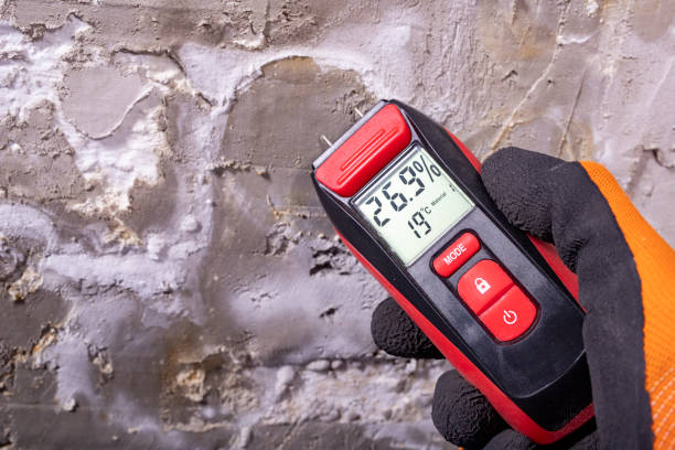 Best Mold Removal Process  in Many, LA