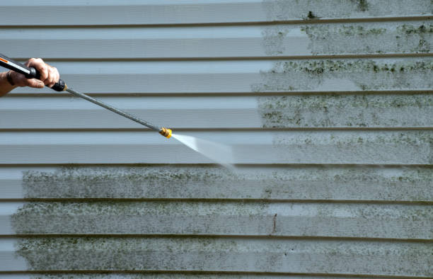 Best Mold Damage Repair  in Many, LA